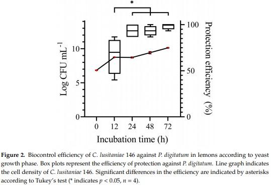 Protection of Citrus Fruits from Postharvest Infection with Penicillium digitatum and Degradation of Patulin by Biocontrol Yeast Clavispora lusitaniae 146 - Image 3
