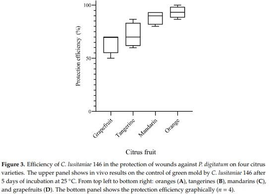 Protection of Citrus Fruits from Postharvest Infection with Penicillium digitatum and Degradation of Patulin by Biocontrol Yeast Clavispora lusitaniae 146 - Image 5