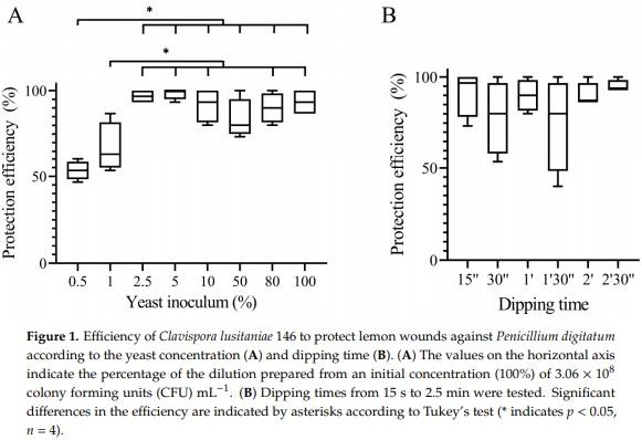 Protection of Citrus Fruits from Postharvest Infection with Penicillium digitatum and Degradation of Patulin by Biocontrol Yeast Clavispora lusitaniae 146 - Image 2