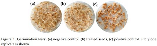 Antifungal Activity of Chitosan Oligomers–Amino Acid Conjugate Complexes against Fusarium culmorum in Spelt (Triticum spelta L.) - Image 7