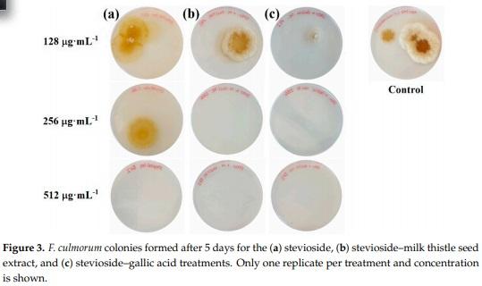 Antifungal Activity against Fusarium culmorum of Stevioside, Silybum marianum Seed Extracts, and Their Conjugate Complexes - Image 4