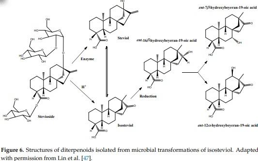 Antifungal Activity against Fusarium culmorum of Stevioside, Silybum marianum Seed Extracts, and Their Conjugate Complexes - Image 7