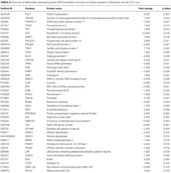 A Proteomic View of the Cross-Talk Between Early Intestinal Microbiota and Poultry Immune System - Image 2