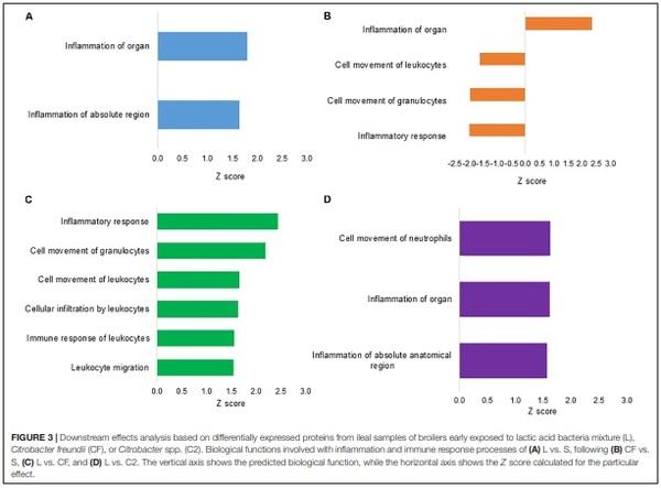 A Proteomic View of the Cross-Talk Between Early Intestinal Microbiota and Poultry Immune System - Image 4