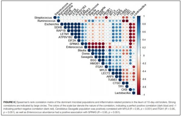 A Proteomic View of the Cross-Talk Between Early Intestinal Microbiota and Poultry Immune System - Image 1