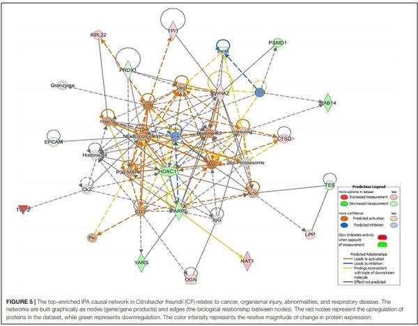 A Proteomic View of the Cross-Talk Between Early Intestinal Microbiota and Poultry Immune System - Image 1