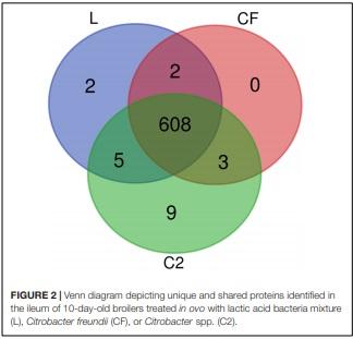 A Proteomic View of the Cross-Talk Between Early Intestinal Microbiota and Poultry Immune System - Image 1