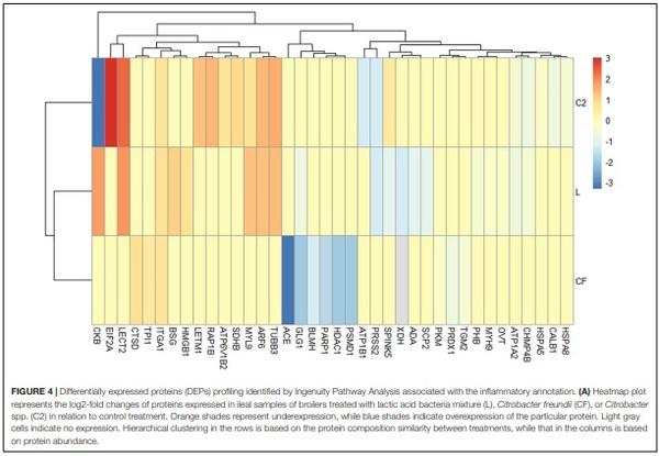 A Proteomic View of the Cross-Talk Between Early Intestinal Microbiota and Poultry Immune System - Image 5