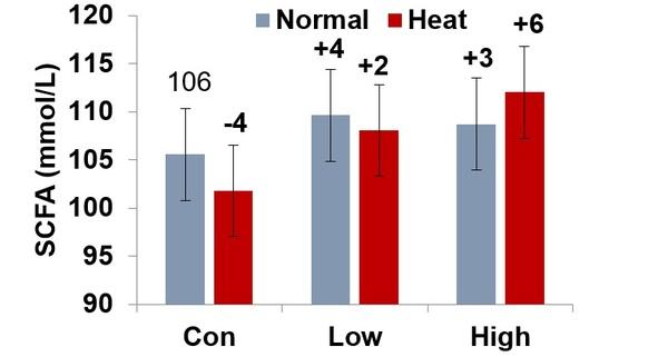 Natural betaine as an effective rumen modulator - Image 1