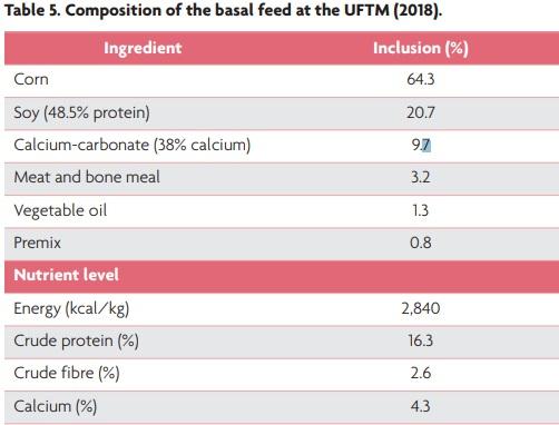 Fibre in layer-diets: the importance of choosing the right fibre source - Image 5