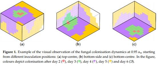 Three-Dimensional Study of F. graminearum Colonisation of Stored Wheat: Post-Harvest Growth Patterns, Dry Matter Losses and Mycotoxin Contamination - Image 3