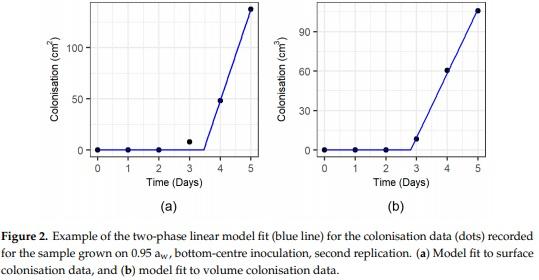 Three-Dimensional Study of F. graminearum Colonisation of Stored Wheat: Post-Harvest Growth Patterns, Dry Matter Losses and Mycotoxin Contamination - Image 4