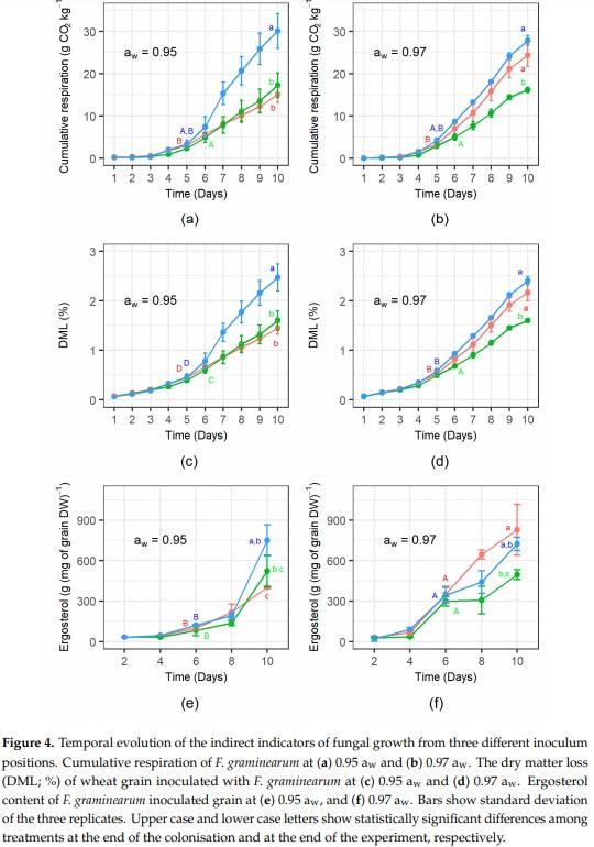 Three-Dimensional Study of F. graminearum Colonisation of Stored Wheat: Post-Harvest Growth Patterns, Dry Matter Losses and Mycotoxin Contamination - Image 7