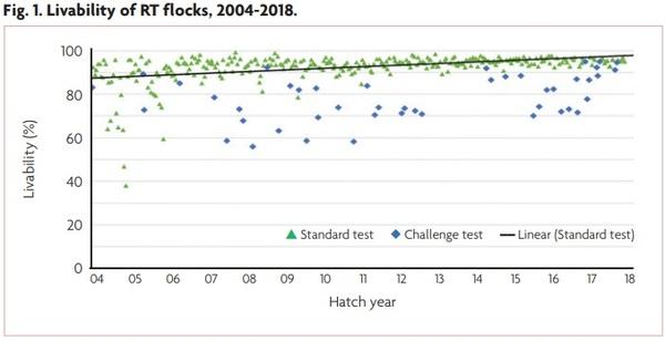 Sustainability in breeding programmes: breeding the long-life layer - Image 2