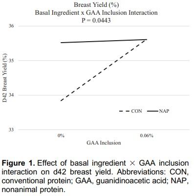 The effect of dietary inclusions of guanidinoacetic acid on D1-42 broiler performance and processing yields - Image 5
