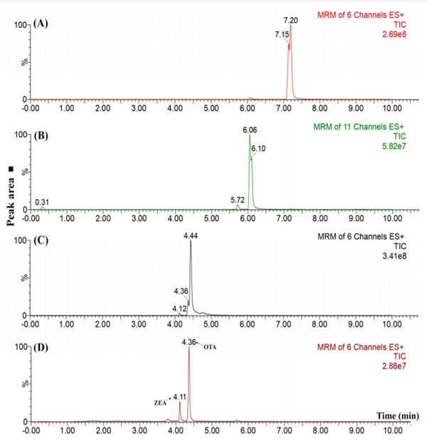 Figure 3. Chromatograms of a mixture containing OTA and ZEA (zearalenone) (15 µg L−1 ) aiming to achieve a satisfactory liquid chromatography separation. (A) Isocratic elution employing ACN:H2O (30:70, v/v); (B) acidification with 0.1% formic acid into mobile phases and the employment of an elution gradient; (C) enhancing the flow rate from 8 to 10 µL min−1 and (D) enhanced condition by fixing the flow rate at 10 µL min−1 and performing a less-steeped elution gradient.