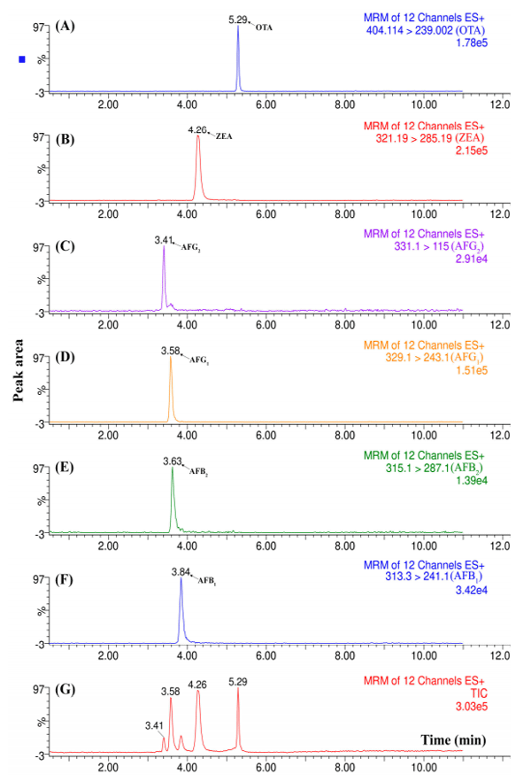 Figure 5. Total ion chromatogram (TIC) and selected reaction monitoring (SRM) of each mycotoxin analyzed in a spiked almond liquor sample. (A) OTA ion transition; (B) ZEA ion transition; (C and D) AFG1 and AFG2 ion transitions (Aflatoxin G1, Aflatoxin G2); (E and F) AFB1 and AFB2 (Aflatoxin B1, Aflatoxin B2) ion transitions; (G) TIC of the analyzed sample.