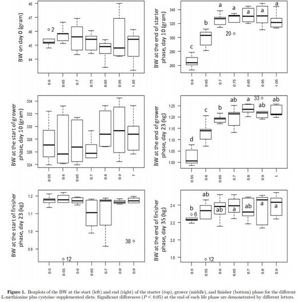 Optimal methionine plus cystine requirements in diets supplemented with L-methionine in starter, grower, and finisher broilers - Image 4