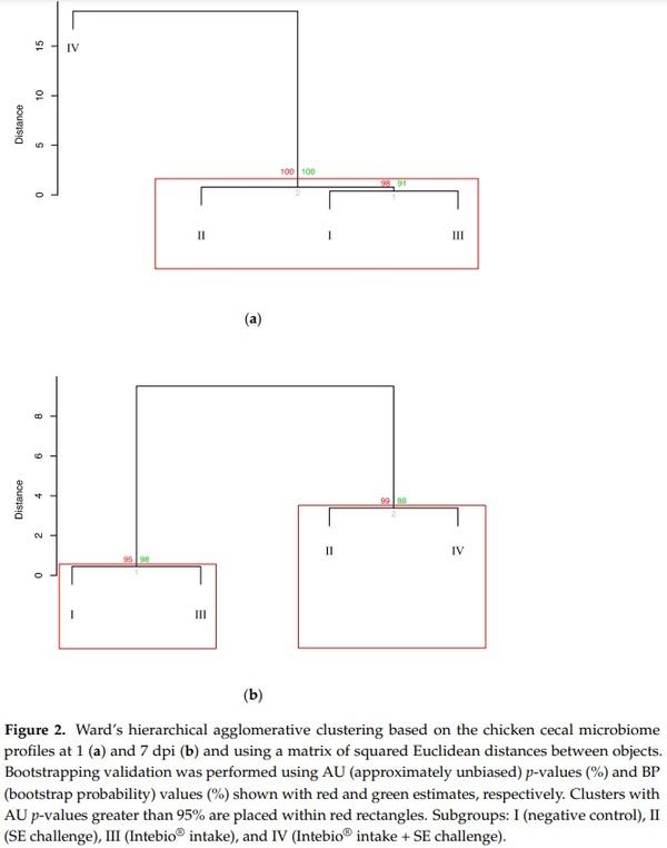 Effects of Essential Oils-Based Supplement and Salmonella Infection on Gene Expression, Blood Parameters, Cecal Microbiome, and Egg Production in Laying Hens - Image 4