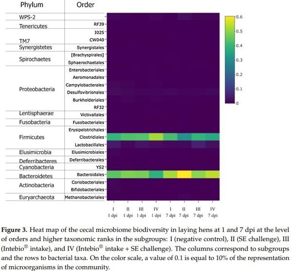 Effects of Essential Oils-Based Supplement and Salmonella Infection on Gene Expression, Blood Parameters, Cecal Microbiome, and Egg Production in Laying Hens - Image 5