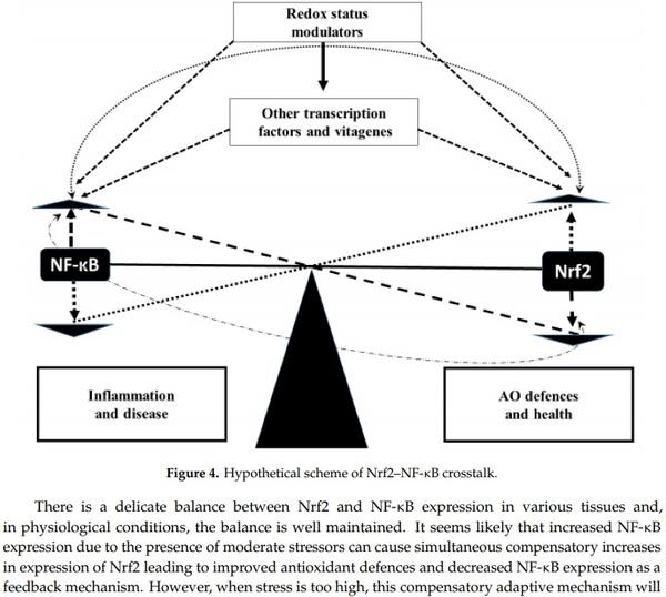 Antioxidant Defence Systems and Oxidative Stress in Poultry