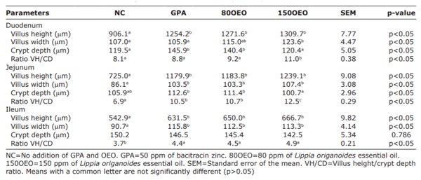 Table-4: Effect of the inclusion of oregano essential oil on the morphometry of the small intestine in Isa Brown hens.