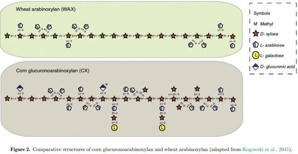 Debranching enzymes in corn/soybean meal–based poultry feeds: a review - Image 3