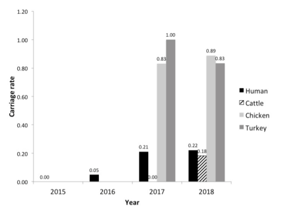 Figure 1. Carriage rate of the pESI plasmid in Salmonella Infantis chicken, turkey, and cattle isolates from USDA-FSIS and human isolates from CDC NARMS. 2015 and 2016 data was not analyzed for USDA-FSIS isolates. Total number of Infantis isolates for each year are as follows: n = 73 humans 2015, n = 83 humans 2016, n = 100 humans 2017, n = 113 humans 2018; n = 5 cattle 2017, n = 11 cattle 2018; n = 314 chickens 2017, n = 389 chickens 2018; n = 9 turkeys 2017, n = 18 turkeys 2018.