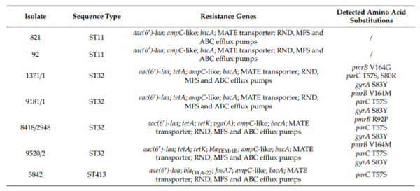 Table 2. Resistome of colistin-resistant S. Infantis isolates from Serbian poultry farms.