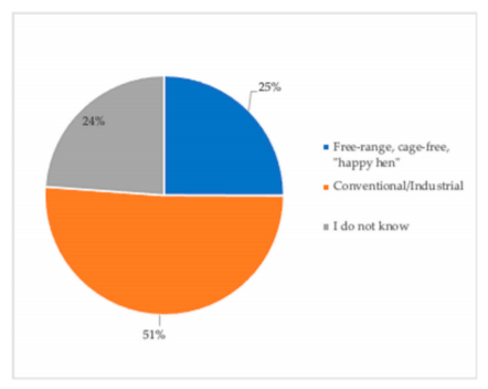 Figure 3. Distribution (%) of the origin of eggs bought by consumers in in Santiago, Chile (n = 262).