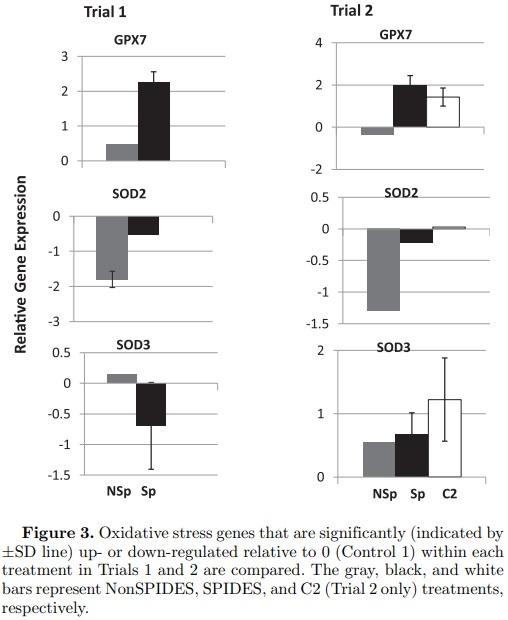 Impact of broiler egg storage on the relative expression of selected blastoderm genes associated with apoptosis, oxidative stress, and fatty acid metabolism - Image 7