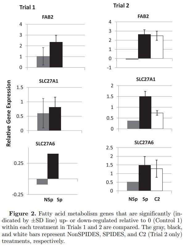 Impact of broiler egg storage on the relative expression of selected blastoderm genes associated with apoptosis, oxidative stress, and fatty acid metabolism - Image 6