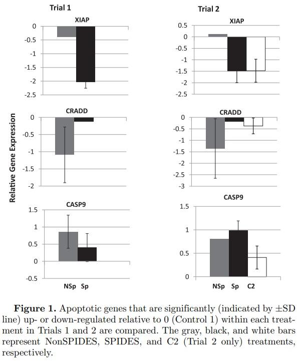 Impact of broiler egg storage on the relative expression of selected blastoderm genes associated with apoptosis, oxidative stress, and fatty acid metabolism - Image 5