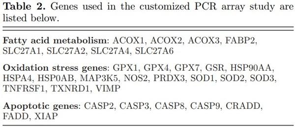 Impact of broiler egg storage on the relative expression of selected blastoderm genes associated with apoptosis, oxidative stress, and fatty acid metabolism - Image 2