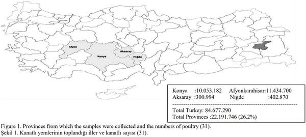 Investigation of mycotoxin residues in poultry feeds by LC MS/MS method - Image 3