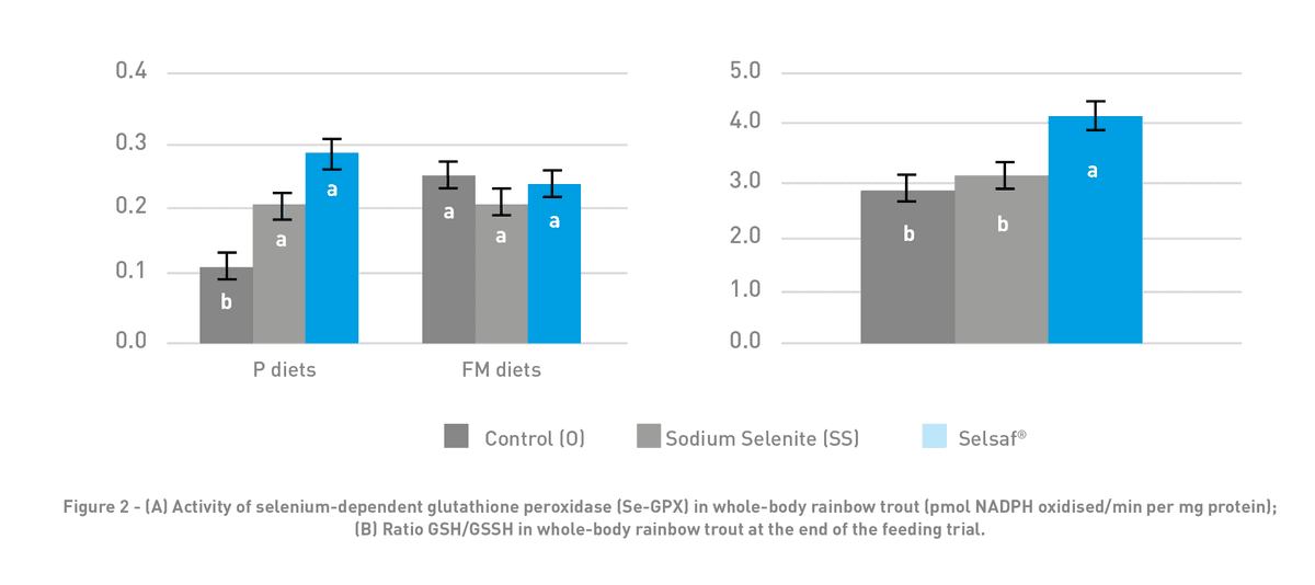 Stress management in aquaculture - Image 3