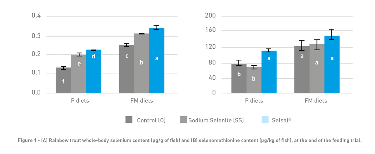 Stress management in aquaculture - Image 1