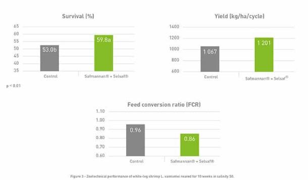 Stress management in aquaculture - Image 7