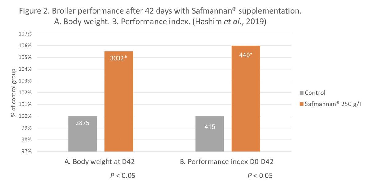 Reducing Clostridium impact to improve poultry performance - Image 3