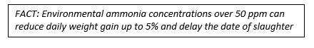 Impact of environmental ammonia in the performance of poultry - Image 1