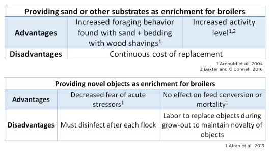 Effective enrichment strategies for broilers - Image 5