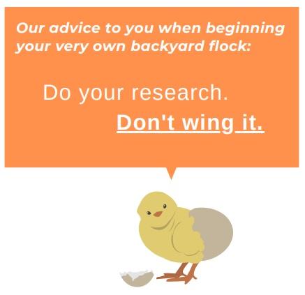 Salmonella in backyard poultry - Image 5