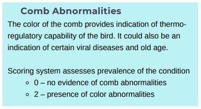 Animal welfare assessment for laying hens - Image 5
