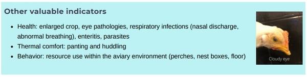 Animal welfare assessment for laying hens - Image 13