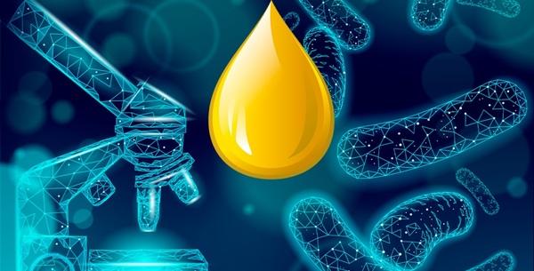 From optimized intestinal functions to excellent performance of poultry - Image 3