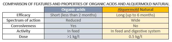 Digestive, bacterial and fungal diseases in poultry farming: impact, diagnosis and prevention - Image 3