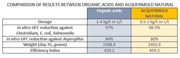 Digestive, bacterial and fungal diseases in poultry farming: impact, diagnosis and prevention - Image 5