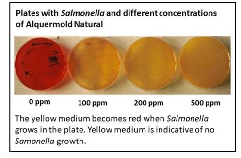 Alquermold Natural for the control of microbial contamination in animal products for human consumption - Image 2