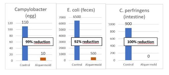 Alquermold Natural for the control of microbial contamination in animal products for human consumption - Image 4