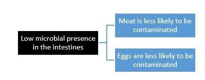 Alquermold Natural for the control of microbial contamination in animal products for human consumption - Image 1